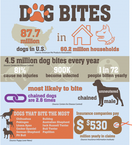 which dog bites the most