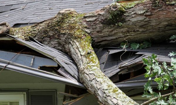 Storm damage insurance: What homeowners in Wisconsin and Minnesota need to know